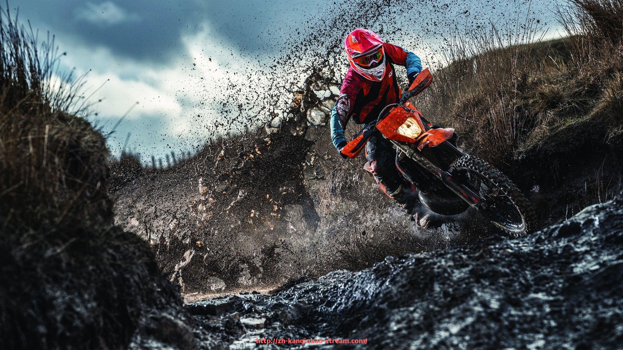 看球宝-世俱杯购票指南及现场观赛流程详解