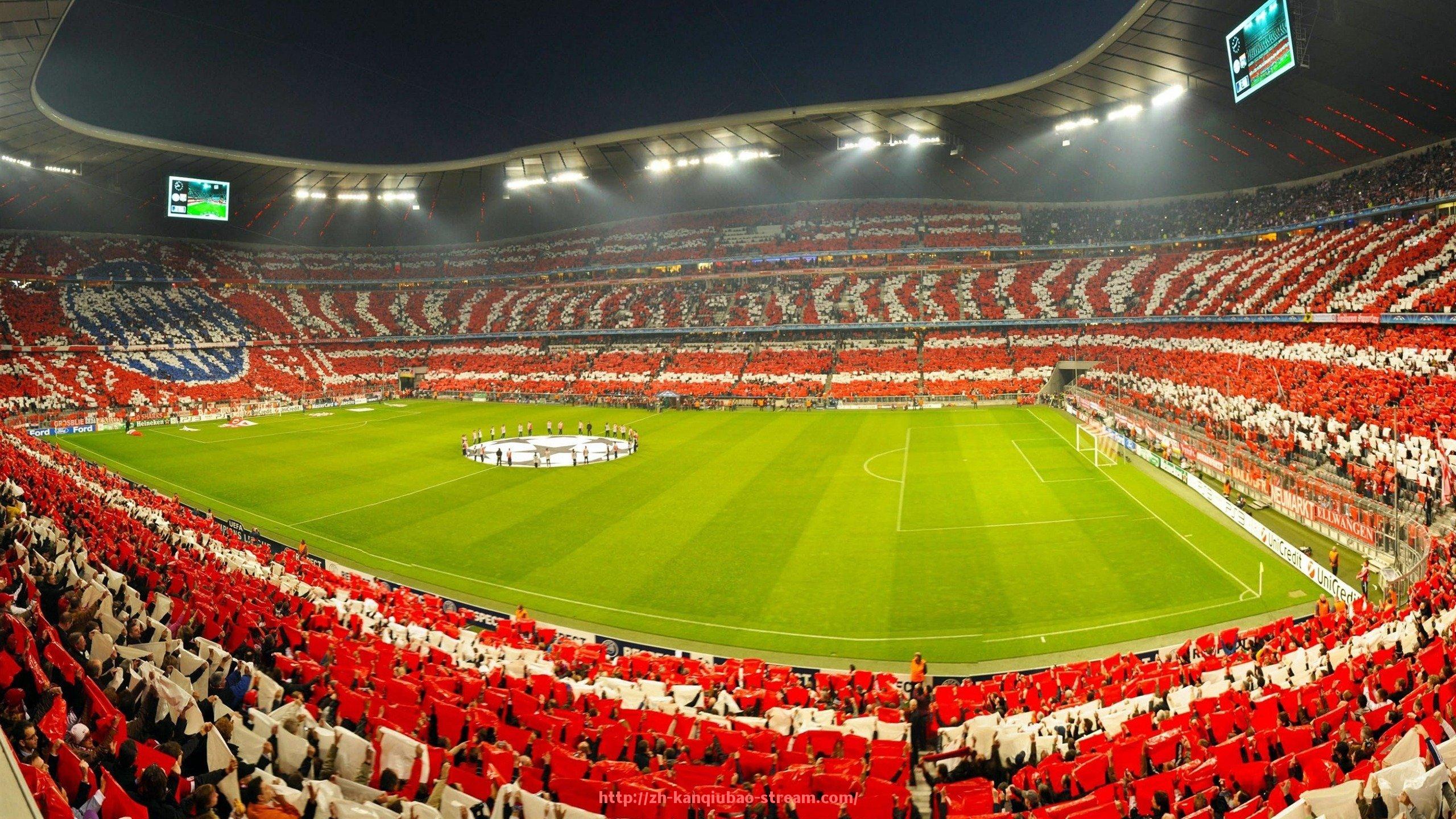 看球宝-健身房健身器材材质分类与耐用性分析